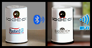 moniteur RADON EYE
